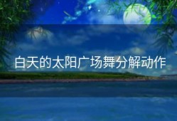 白天的太阳广场舞分解动作