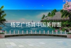 杨艺广场舞中国美背面