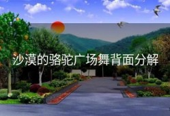 沙漠的骆驼广场舞背面分解