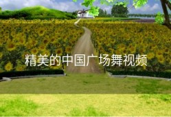 精美的中国广场舞视频