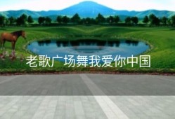 老歌广场舞我爱你中国