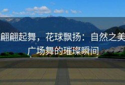 翩翩起舞，花球飘扬：自然之美广场舞的璀璨瞬间