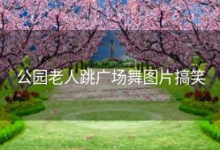 公园老人跳广场舞图片搞笑