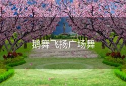 鹅舞飞扬广场舞
