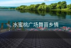 水蜜桃广场舞苗乡情