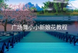 广场舞小小新娘花教程