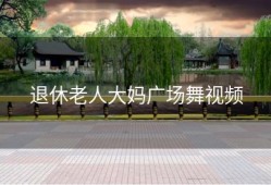 退休老人大妈广场舞视频