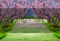 六哥广场舞印度舞