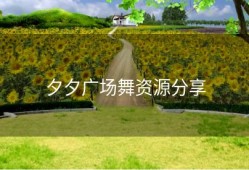 夕夕广场舞资源分享