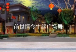 前世情今生缘广场舞