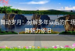 舞动岁月：分解多年以后的广场舞魅力依旧