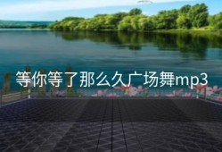 等你等了那么久广场舞mp3