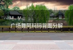 广场舞阿玛玛背面分解