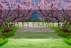 广场舞等着远方的你教学