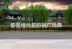 都是缘分惹的祸广场舞