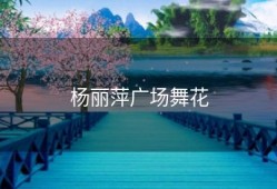 杨丽萍广场舞花
