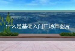 什么是基础入门广场舞图片