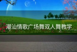潮汕情歌广场舞双人舞教学