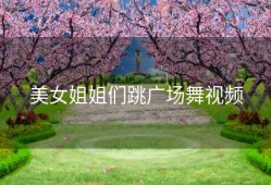 美女姐姐们跳广场舞视频