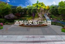 酒梦中文版广场舞