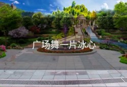 广场舞一片冰心