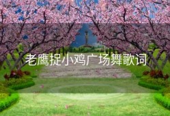 老鹰捉小鸡广场舞歌词