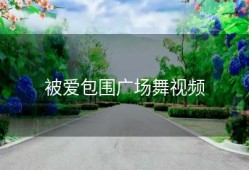 被爱包围广场舞视频