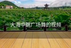 大海中跳广场舞的视频