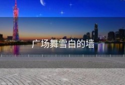 广场舞雪白的墙