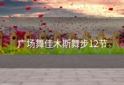 广场舞佳木斯舞步12节