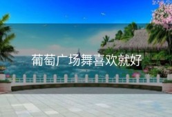 葡萄广场舞喜欢就好