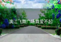 漓江飞舞广场舞爱不起