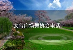 太谷广场舞协会电话