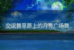 交谊舞草原上的月亮广场舞