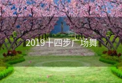 2019十四步广场舞