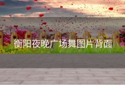 衡阳夜晚广场舞图片背面