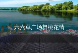 六六草广场舞桃花情