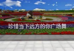 珍惜当下远方的你广场舞