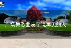 广场舞歌曲忘了说再见的人