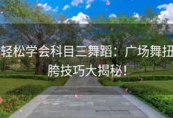 轻松学会科目三舞蹈：广场舞扭胯技巧大揭秘！