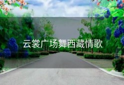 云裳广场舞西藏情歌