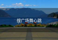 搜广场舞心跳