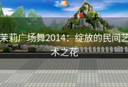 茉莉广场舞2014：绽放的民间艺术之花