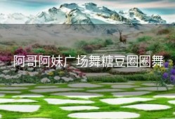 阿哥阿妹广场舞糖豆圈圈舞