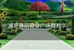 减肥舞蹈健身广场舞教学