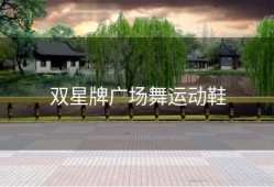 双星牌广场舞运动鞋