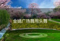 金婧广场舞甩头舞