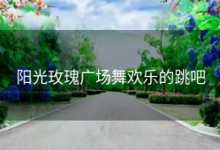 阳光玫瑰广场舞欢乐的跳吧