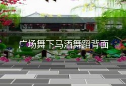 广场舞下马酒舞蹈背面