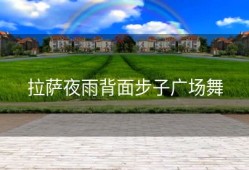 拉萨夜雨背面步子广场舞